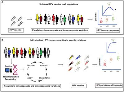 Frontiers | Personalized Human Papillomavirus Vaccination For ...